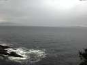 ./images/koeye/fitz-hugh/20141028/fitz-hugh20141028_100502.jpg