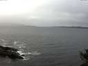 ./images/koeye/fitz-hugh/20141028/fitz-hugh20141028_102502.jpg