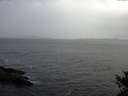 ./images/koeye/fitz-hugh/20141028/fitz-hugh20141028_103503.jpg