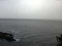 ./images/koeye/fitz-hugh/20141028/fitz-hugh20141028_104003.jpg