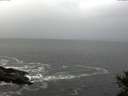 ./images/koeye/fitz-hugh/20141028/fitz-hugh20141028_105502.jpg