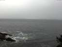 ./images/koeye/fitz-hugh/20141028/fitz-hugh20141028_110503.jpg