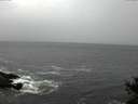 ./images/koeye/fitz-hugh/20141028/fitz-hugh20141028_111003.jpg