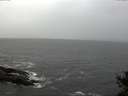 ./images/koeye/fitz-hugh/20141028/fitz-hugh20141028_111502.jpg