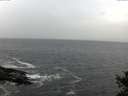 ./images/koeye/fitz-hugh/20141028/fitz-hugh20141028_113502.jpg
