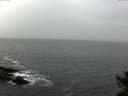 ./images/koeye/fitz-hugh/20141028/fitz-hugh20141028_114001.jpg
