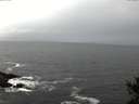 ./images/koeye/fitz-hugh/20141028/fitz-hugh20141028_120002.jpg