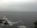 ./images/koeye/fitz-hugh/20141028/fitz-hugh20141028_120501.jpg