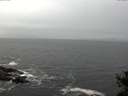 ./images/koeye/fitz-hugh/20141028/fitz-hugh20141028_121002.jpg
