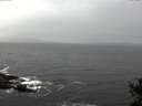 ./images/koeye/fitz-hugh/20141028/fitz-hugh20141028_121502.jpg