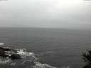 ./images/koeye/fitz-hugh/20141028/fitz-hugh20141028_122502.jpg