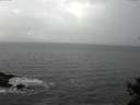 ./images/koeye/fitz-hugh/20141028/fitz-hugh20141028_124002.jpg