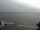 ./images/koeye/fitz-hugh/20141028/fitz-hugh20141028_130503.jpg