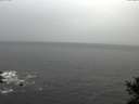 ./images/koeye/fitz-hugh/20141028/fitz-hugh20141028_134003.jpg
