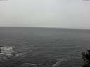 ./images/koeye/fitz-hugh/20141028/fitz-hugh20141028_134502.jpg