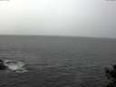 ./images/koeye/fitz-hugh/20141028/fitz-hugh20141028_135003.jpg