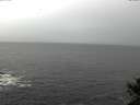 ./images/koeye/fitz-hugh/20141028/fitz-hugh20141028_135502.jpg