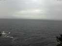 ./images/koeye/fitz-hugh/20141028/fitz-hugh20141028_141502.jpg