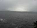 ./images/koeye/fitz-hugh/20141028/fitz-hugh20141028_143501.jpg