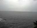 ./images/koeye/fitz-hugh/20141028/fitz-hugh20141028_151502.jpg