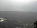 ./images/koeye/fitz-hugh/20141028/fitz-hugh20141028_153502.jpg