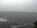 ./images/koeye/fitz-hugh/20141028/fitz-hugh20141028_154003.jpg