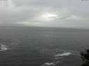 ./images/koeye/fitz-hugh/20141028/fitz-hugh20141028_154502.jpg