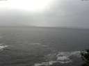 ./images/koeye/fitz-hugh/20141028/fitz-hugh20141028_160003.jpg