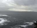./images/koeye/fitz-hugh/20141028/fitz-hugh20141028_163502.jpg