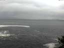 ./images/koeye/fitz-hugh/20141028/fitz-hugh20141028_164502.jpg