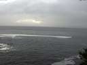 ./images/koeye/fitz-hugh/20141028/fitz-hugh20141028_165501.jpg