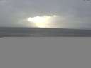 ./images/koeye/fitz-hugh/20141028/fitz-hugh20141028_170502.jpg
