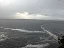 ./images/koeye/fitz-hugh/20141028/fitz-hugh20141028_180502.jpg