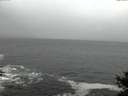 ./images/koeye/fitz-hugh/20141028/fitz-hugh20141028_183503.jpg