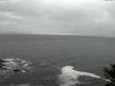 ./images/koeye/fitz-hugh/20141028/fitz-hugh20141028_184002.jpg