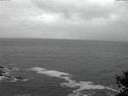 ./images/koeye/fitz-hugh/20141028/fitz-hugh20141028_184502.jpg