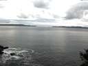 ./images/koeye/fitz-hugh/20141029/fitz-hugh20141029_082003.jpg