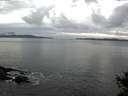./images/koeye/fitz-hugh/20141029/fitz-hugh20141029_082502.jpg