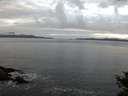 ./images/koeye/fitz-hugh/20141029/fitz-hugh20141029_084502.jpg