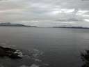 ./images/koeye/fitz-hugh/20141029/fitz-hugh20141029_090503.jpg