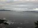 ./images/koeye/fitz-hugh/20141029/fitz-hugh20141029_091503.jpg