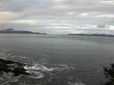 ./images/koeye/fitz-hugh/20141029/fitz-hugh20141029_092003.jpg