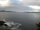 ./images/koeye/fitz-hugh/20141029/fitz-hugh20141029_093501.jpg