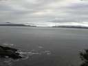 ./images/koeye/fitz-hugh/20141029/fitz-hugh20141029_094502.jpg