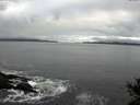 ./images/koeye/fitz-hugh/20141029/fitz-hugh20141029_101002.jpg
