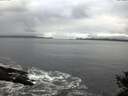 ./images/koeye/fitz-hugh/20141029/fitz-hugh20141029_101501.jpg