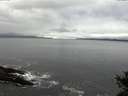 ./images/koeye/fitz-hugh/20141029/fitz-hugh20141029_102002.jpg