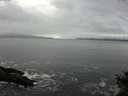 ./images/koeye/fitz-hugh/20141029/fitz-hugh20141029_102502.jpg