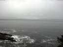 ./images/koeye/fitz-hugh/20141029/fitz-hugh20141029_103503.jpg