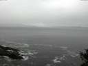 ./images/koeye/fitz-hugh/20141029/fitz-hugh20141029_104003.jpg